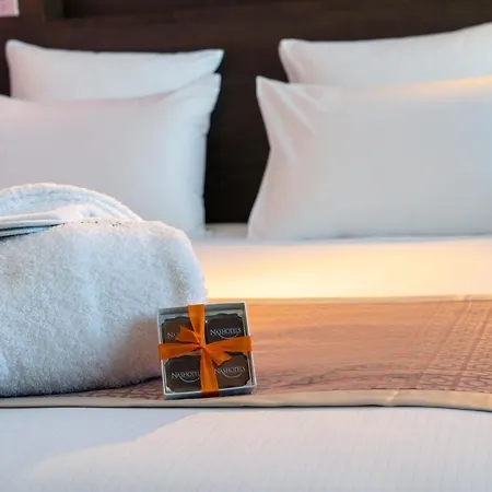Nash Pratik Hotel Vernier